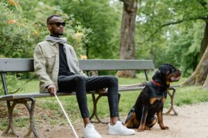 Socialization 101: Proven Confidence Boost for Dogs