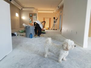 Busy Dog Owners: Proven Ways to Reinforce Training