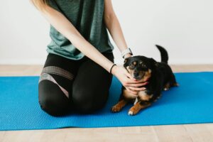 Gratitude Towards Dogs: Wonderful Lessons That Change Lives